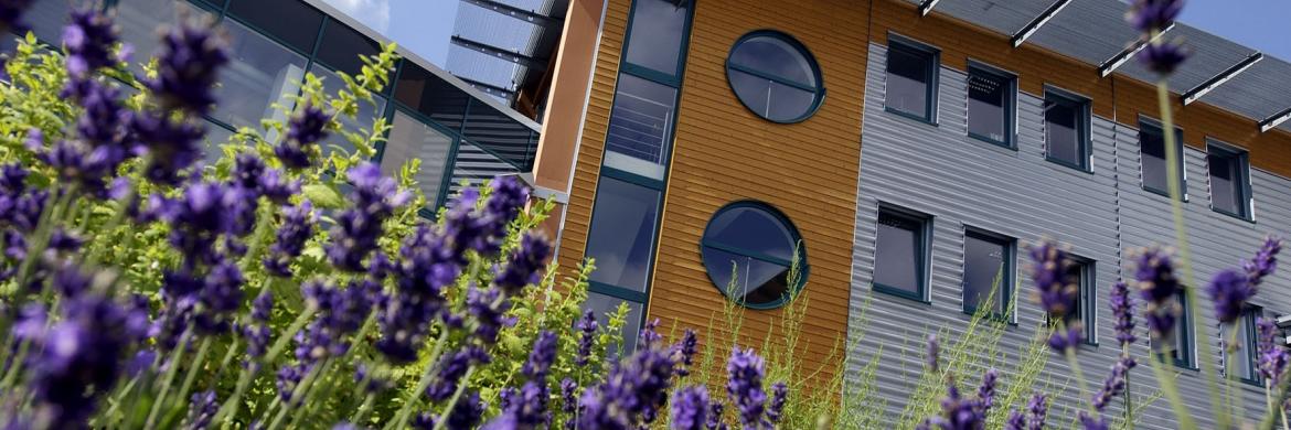 Gebäude Lavendel