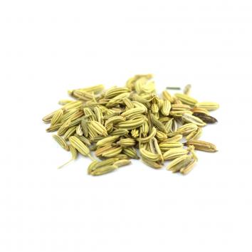 Fenchel