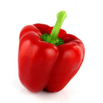 Paprika