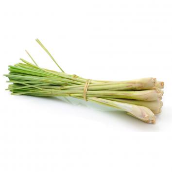 Zitronengras